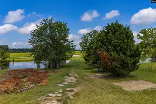 1358 Yarborough Rd, Saluda, SC 29138 - Photo 4