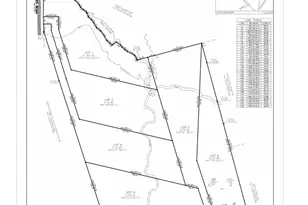164 Winesap Rd, Winnsboro, SC 29180 - Photo 1