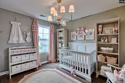 433 N Cobia Court, Columbia, SC 29063 - Photo 28