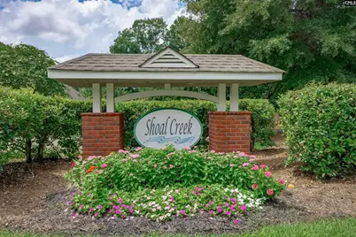 159 Shoal Creek Circle, Lexington, SC 29072 - Photo 52
