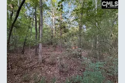 0 Old Jollystreet Road, Newberry, SC 29108 - Photo 6