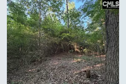 0 Old Jollystreet Road, Newberry, SC 29108 - Photo 10