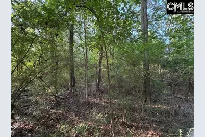 0 Old Jollystreet Road, Newberry, SC 29108 - Photo 12