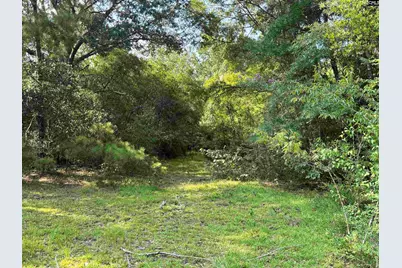 269 B Lachicotte Road, Lugoff, SC 29078 - Photo 4