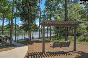 2435 Old Lexington Hwy, Chapin, SC 29036 - Photo 68
