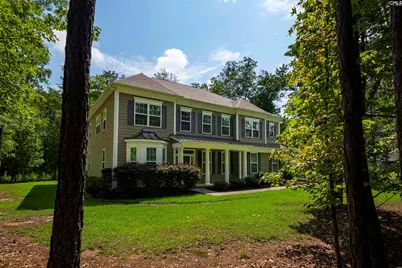 2435 Old Lexington Highway, Chapin, SC 29036 - Photo 2