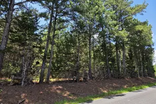 105 Acres Chestnut Ridge Rd, McCormick, SC 29835 - Photo 1