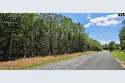 105 Acres Chestnut Ridge Road, McCormick, SC 29835 - Photo 4