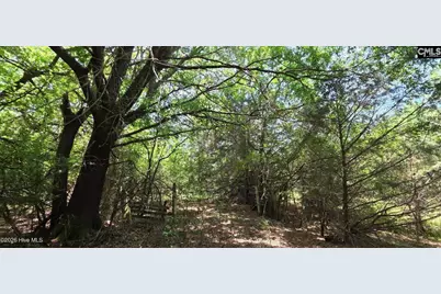 105 Acres Chestnut Ridge Road, McCormick, SC 29835 - Photo 2