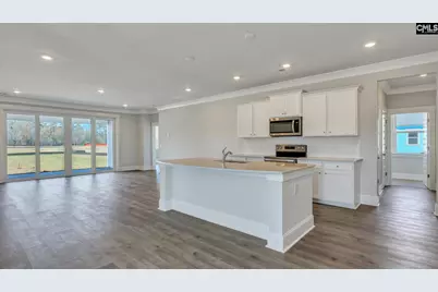 225 Sunny Stream Drive, Chapin, SC 29054 - Photo 2