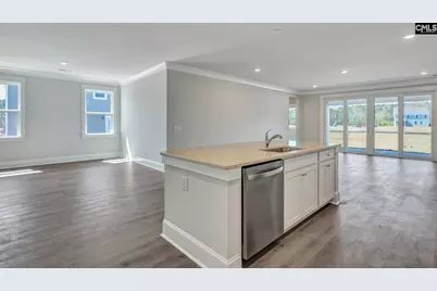 225 Sunny Stream Drive, Chapin, SC 29054 - Photo 10