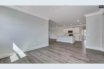 225 Sunny Stream Drive, Chapin, SC 29054 - Photo 12