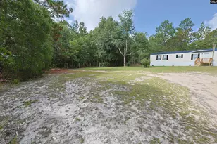 141 Casper St, Pelion, SC 29123 - Photo 2