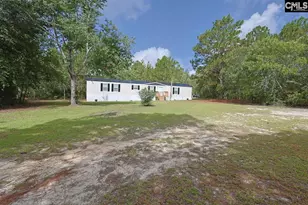 141 Casper St, Pelion, SC 29123 - Photo 6