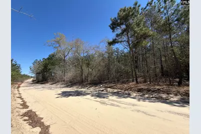 Bhl 15 Boise Cascade Road #BHL 15, Bethune, SC 29009 - Photo 6
