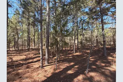 Bhl 15 Boise Cascade Road #BHL 15, Bethune, SC 29009 - Photo 14