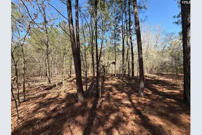 Bhl 15 Boise Cascade Road #BHL 15, Bethune, SC 29009 - Photo 10