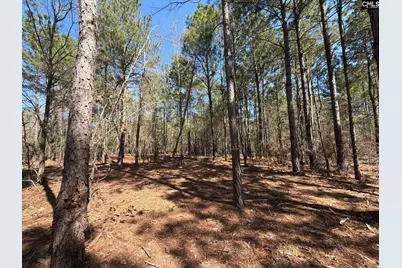 Bhl 15 Boise Cascade Road #BHL 15, Bethune, SC 29009 - Photo 8