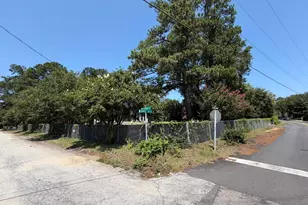 1303 Elmore St, Columbia, SC 29203 - Photo 58
