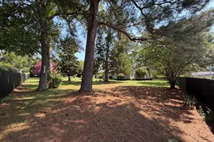 1303 Elmore St, Columbia, SC 29203 - Photo 10
