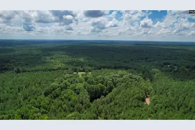 5540 State Hwy 215 North, Blair, SC 29015 - Photo 80