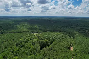 5540 State Hwy 215 N, Blair, SC 29015 - Photo 80