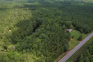 5540 State Hwy 215 N, Blair, SC 29015 - Photo 54