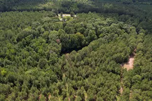 5540 State Hwy 215 N, Blair, SC 29015 - Photo 72