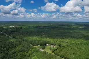 5540 State Hwy 215 N, Blair, SC 29015 - Photo 78