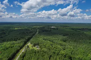 5540 State Hwy 215 N, Blair, SC 29015 - Photo 74