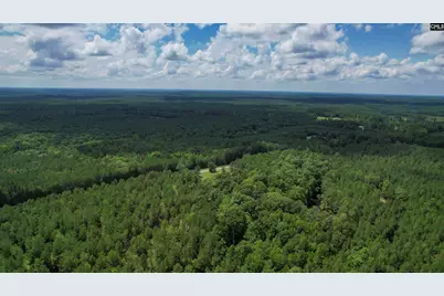 5540 State Hwy 215 North, Blair, SC 29015 - Photo 82