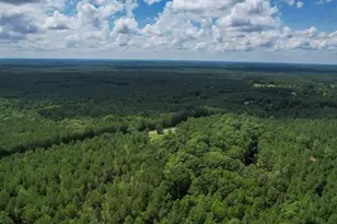 5540 State Hwy 215 N, Blair, SC 29015 - Photo 82