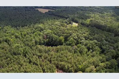 5540 State Hwy 215 North, Blair, SC 29015 - Photo 60