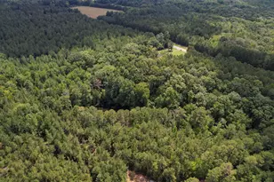5540 State Hwy 215 N, Blair, SC 29015 - Photo 60