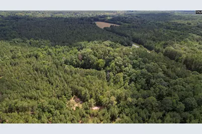 5540 State Hwy 215 North, Blair, SC 29015 - Photo 58