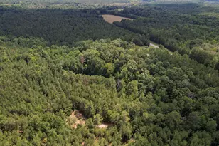 5540 State Hwy 215 N, Blair, SC 29015 - Photo 58