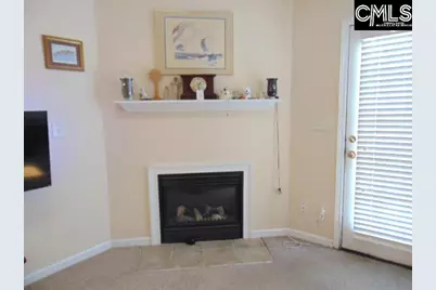 215 Waverly Court, Lexington, SC 29072 - Photo 12