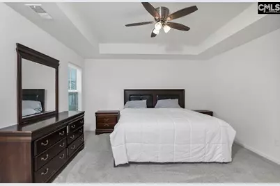 295 Chesapeake Drive, Chapin, SC 29036 - Photo 26