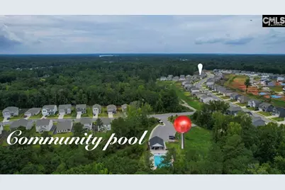 295 Chesapeake Drive, Chapin, SC 29036 - Photo 12