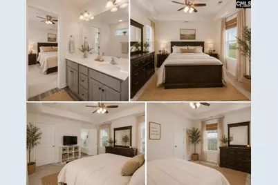 295 Chesapeake Drive, Chapin, SC 29036 - Photo 6