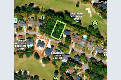 333 Oxenbridge Way, Chapin, SC 29036 - Photo 1