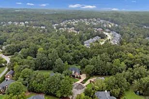 5 Holly Hill Ct, Irmo, SC 29063 - Photo 68