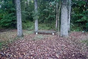 704 Congaree Church Rd, Gadsden, SC 29052 - Photo 14