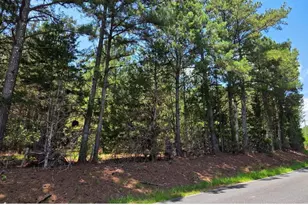 20 Acres Chestnut Ridge Rd, McCormick, SC 29835 - Photo 1