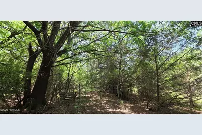 20 Acres Chestnut Ridge Road, McCormick, SC 29835 - Photo 2