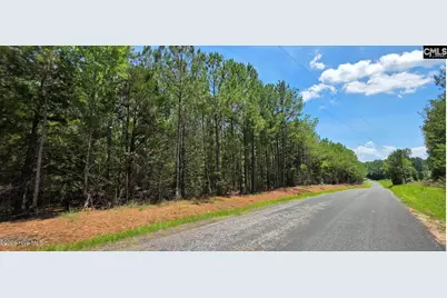 20 Acres Chestnut Ridge Road, McCormick, SC 29835 - Photo 4