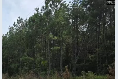 10 Acres Old Edgefield Road, Ninety Six, SC 29666 - Photo 2