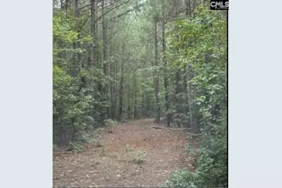 3 Acres Old Edgefield Road, Ninety Six, SC 29666 - Photo 2