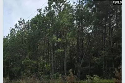 3 Acres Old Edgefield Road, Ninety Six, SC 29666 - Photo 1