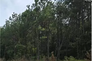 3 Acres Old Edgefield Rd, Ninety Six, SC 29666 - Photo 1